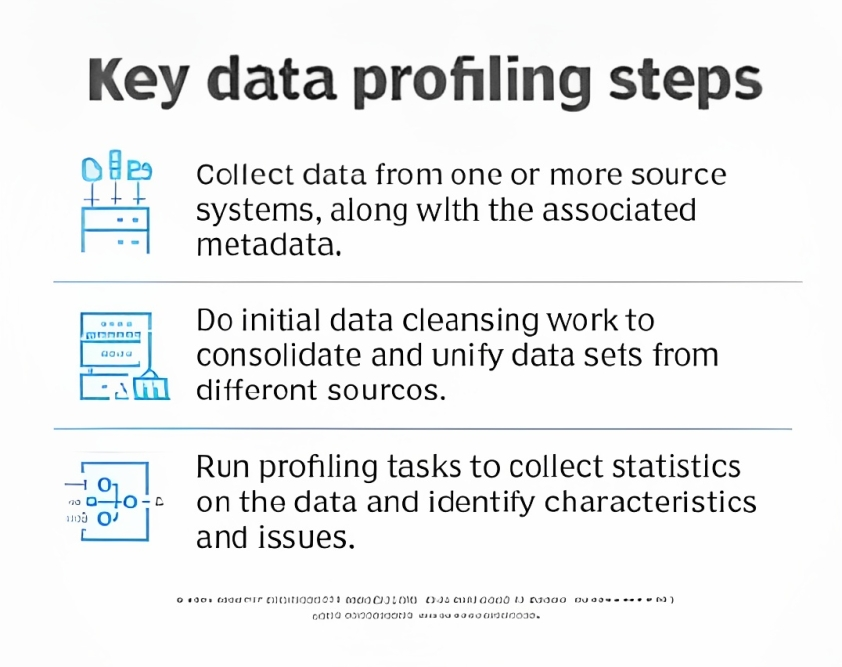 key data profiling steps